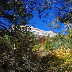 2021-10-25 automne-en Chartreuse